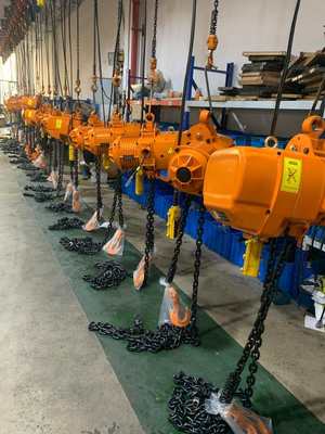 Low Maintenance Operation Electric Chain Hoist with Dual Braking System and 1 Year Warranty